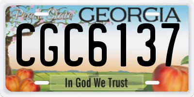 GA license plate CGC6137