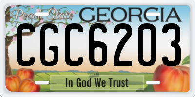 GA license plate CGC6203