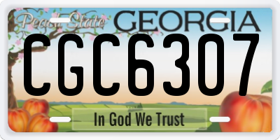 GA license plate CGC6307