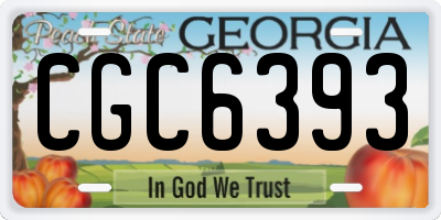 GA license plate CGC6393