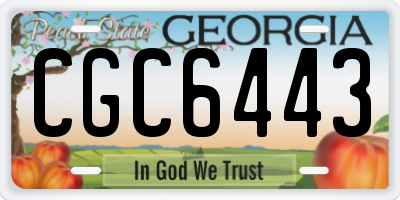 GA license plate CGC6443