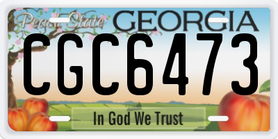 GA license plate CGC6473
