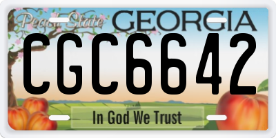 GA license plate CGC6642