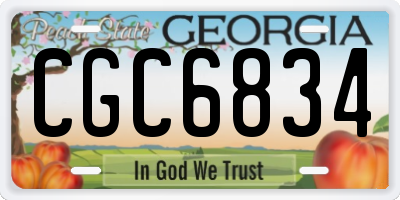GA license plate CGC6834