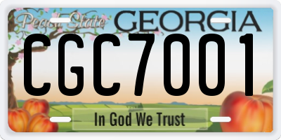 GA license plate CGC7001
