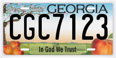 GA license plate CGC7123