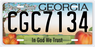 GA license plate CGC7134