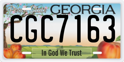 GA license plate CGC7163