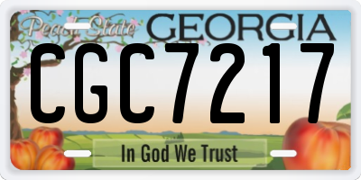 GA license plate CGC7217