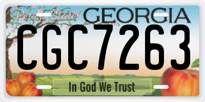 GA license plate CGC7263