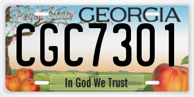 GA license plate CGC7301