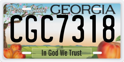 GA license plate CGC7318