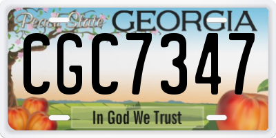 GA license plate CGC7347