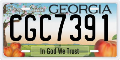 GA license plate CGC7391