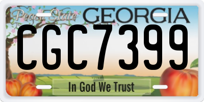 GA license plate CGC7399