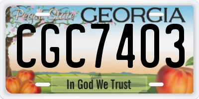 GA license plate CGC7403