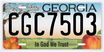 GA license plate CGC7503
