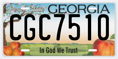 GA license plate CGC7510