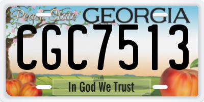 GA license plate CGC7513