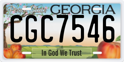 GA license plate CGC7546