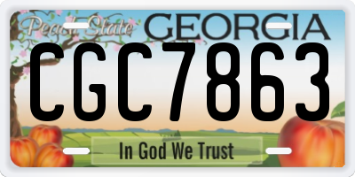 GA license plate CGC7863