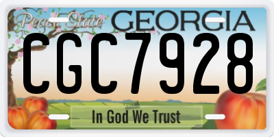 GA license plate CGC7928