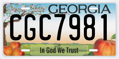 GA license plate CGC7981