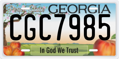 GA license plate CGC7985
