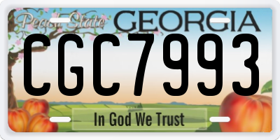 GA license plate CGC7993
