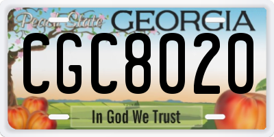 GA license plate CGC8020