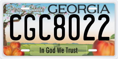 GA license plate CGC8022