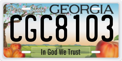GA license plate CGC8103