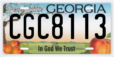 GA license plate CGC8113