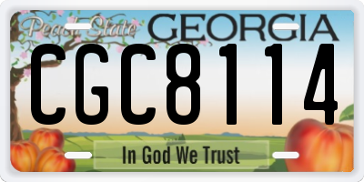 GA license plate CGC8114