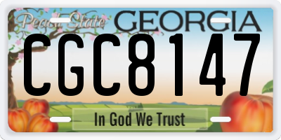 GA license plate CGC8147