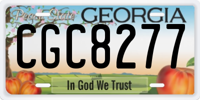 GA license plate CGC8277