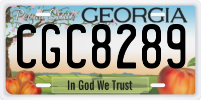 GA license plate CGC8289