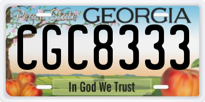 GA license plate CGC8333