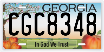 GA license plate CGC8348