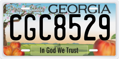 GA license plate CGC8529