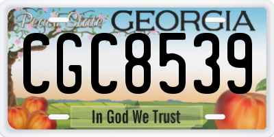 GA license plate CGC8539