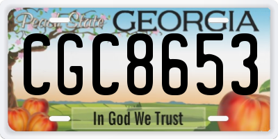 GA license plate CGC8653