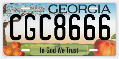 GA license plate CGC8666