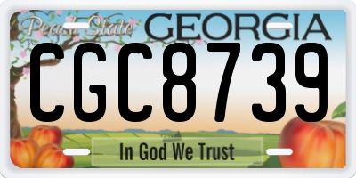 GA license plate CGC8739