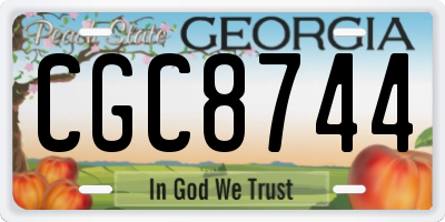 GA license plate CGC8744