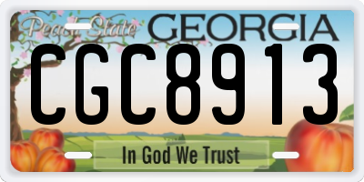 GA license plate CGC8913