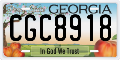 GA license plate CGC8918