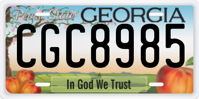 GA license plate CGC8985