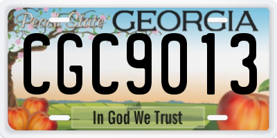 GA license plate CGC9013