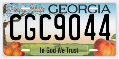 GA license plate CGC9044